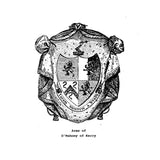 BROWN: Ten Irish Families: Genealogical Essays on the Families of Brown, Davison, Ferguson, Lavery, Maguire, McCarty, McNally, O'Donnell, O'Long, O'Mahony. 2002