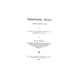 NORTHWESTERN INDIANA, from 1800 to 1900: a View of our Region through the Nineteenth Century.