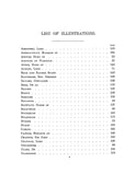 DAME: Dame Heraldry 1886