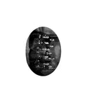 DICKSON: Genealogy of the Dickson family & its immediate collateral branches 1908