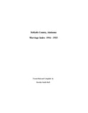 DEKALB, AL: DEKALB COUNTY MARRIAGE INDEX, 1916-1925 (Softcover)