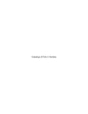 HAWKINS: Genealogy of Felix G Hawkins (Softcover)