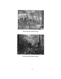 HERNDON: Edward Herndon of Elbert County (Softcover) 2006