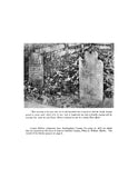 HUFFORD Family history, 1729-1909. 1909