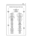 METCALFE LINEAGES. 2nd Edition. (1994). (Hardcover)