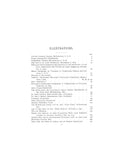 McDONOUGH - HACKSTAFF ANCESTRY 1901
