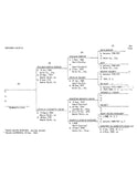 MERCER-LOCKE: The Descendants of William Darius and Louella Elizabeth (Locke) Mercer and what is Known about their Ancestors (Edwards, Fitzallen, Gandy, Locke, Mercer) 1963