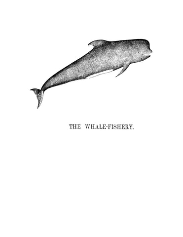 WHALE-FISHERY:  SECTION V of The Fisheries and Fishery Industries of the United States.