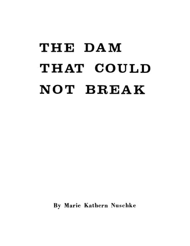 AUSTIN, PA: The Dam that Couldn't Break (Softcover)