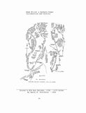 MILLER: Adam Miller and Barbara Koger Family Record of Massanutten [today Elkton, VA] 2000